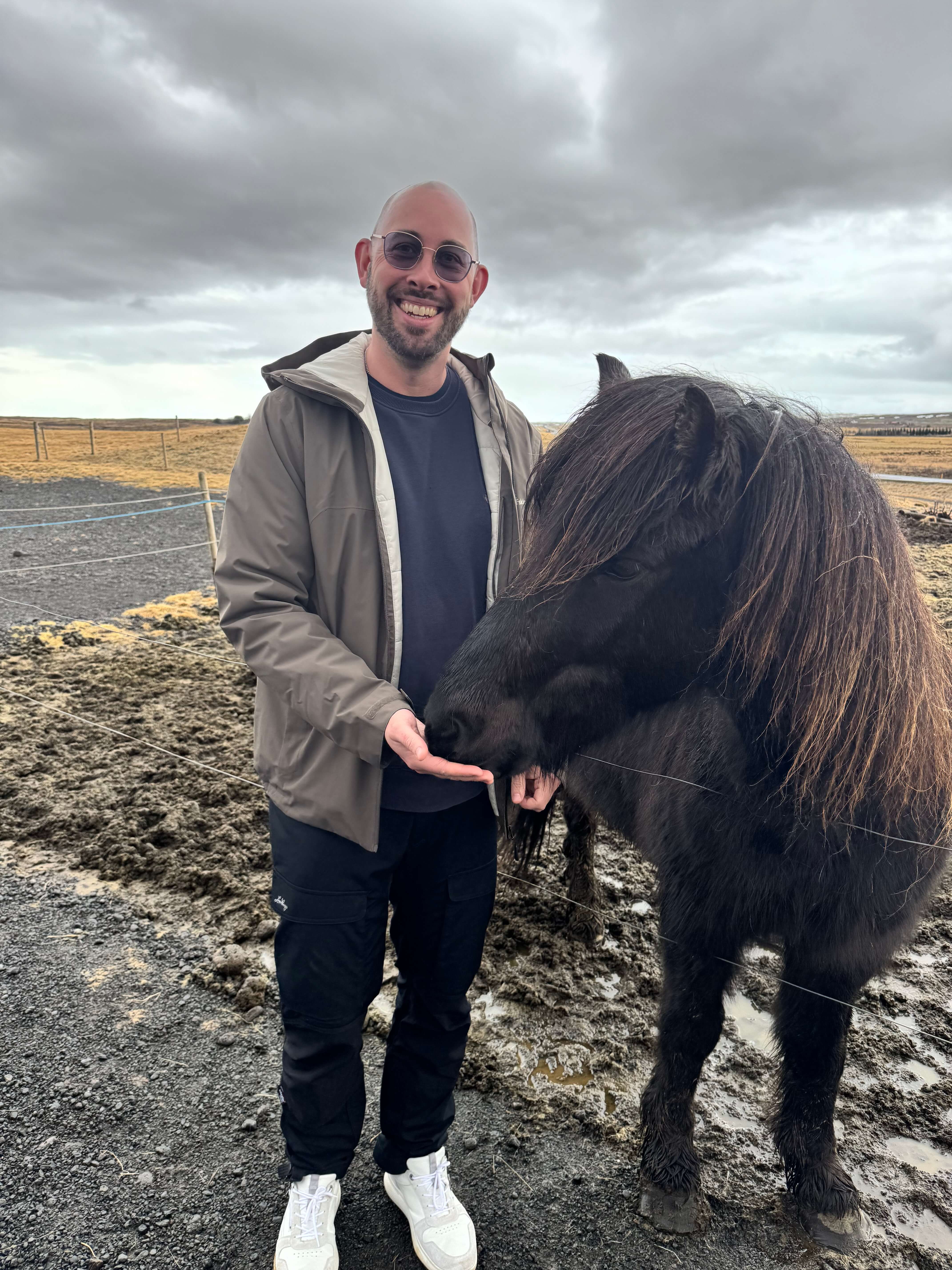 Islandpferd: NOT A PONY 😅