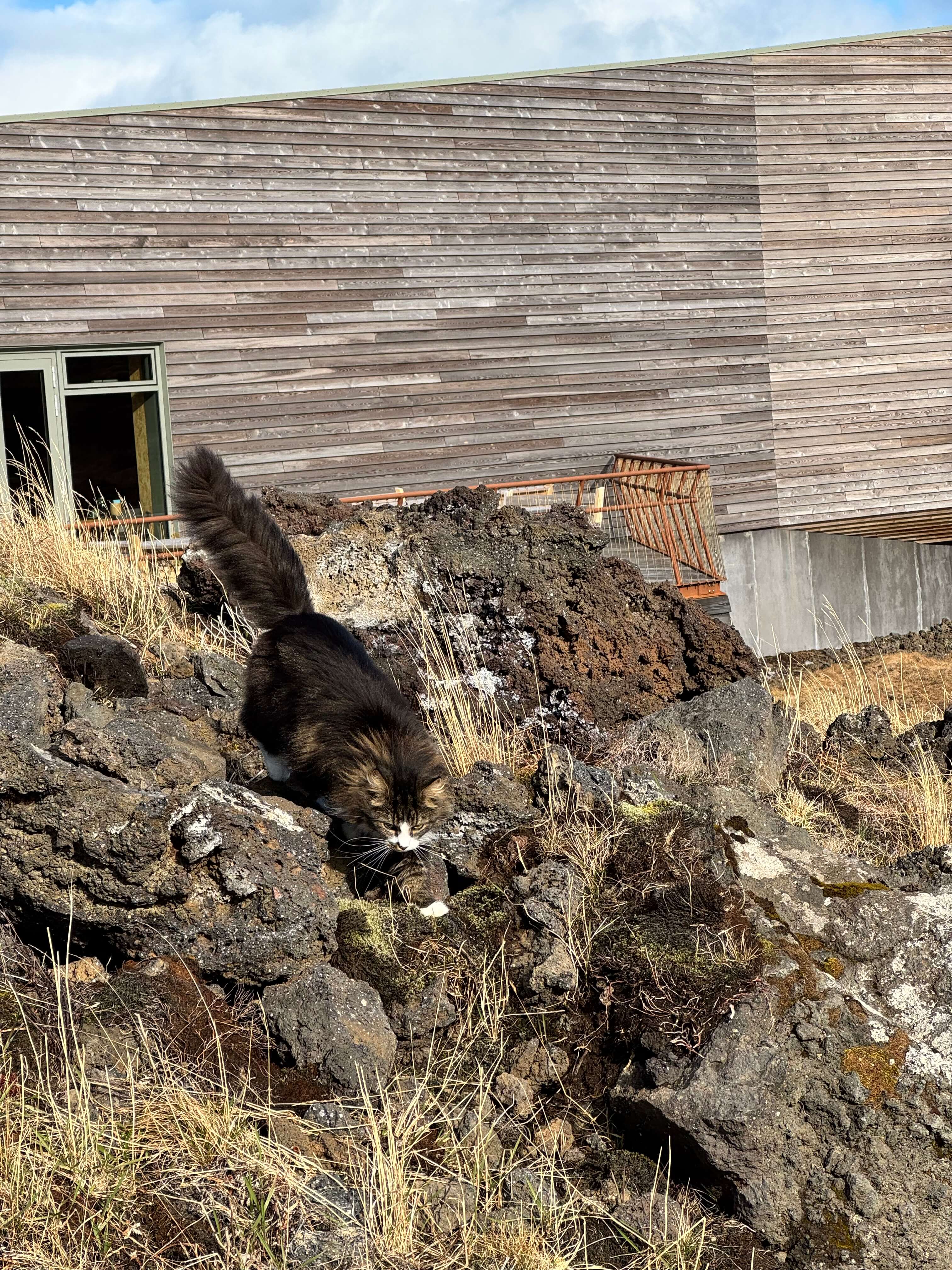 National Park Center Hellissandur